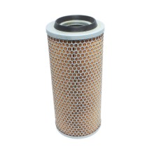 Filtro Aire Secundario Motor